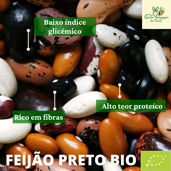 Feijão Preto Biológico