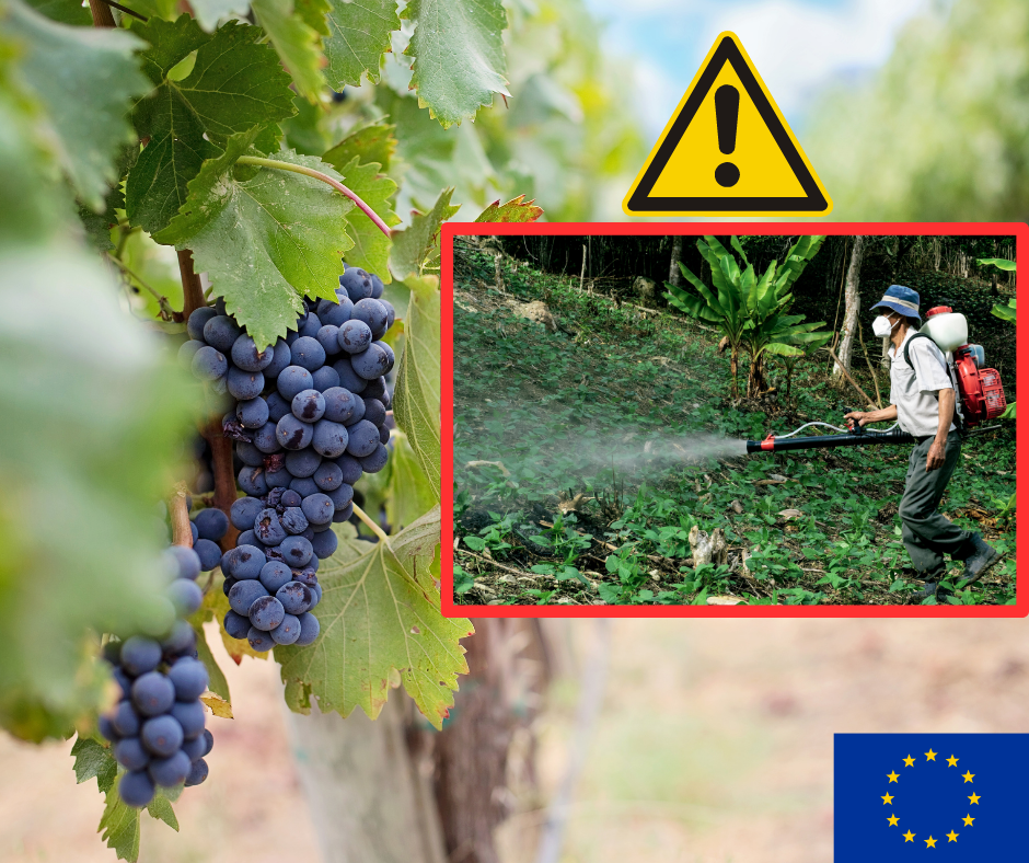 Pesticidas em Vinhos Não Biológicos na União Europeia: Uma Análise dos Resíduos e Preocupações