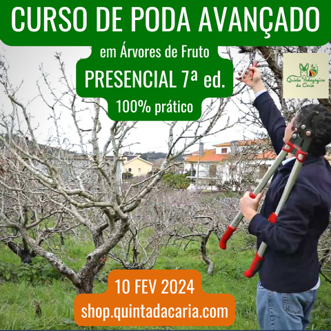 Curso de Poda em Árvores de Fruto - PRESENCIAL Avançado: 100% prático 10 Fevereiro 2024