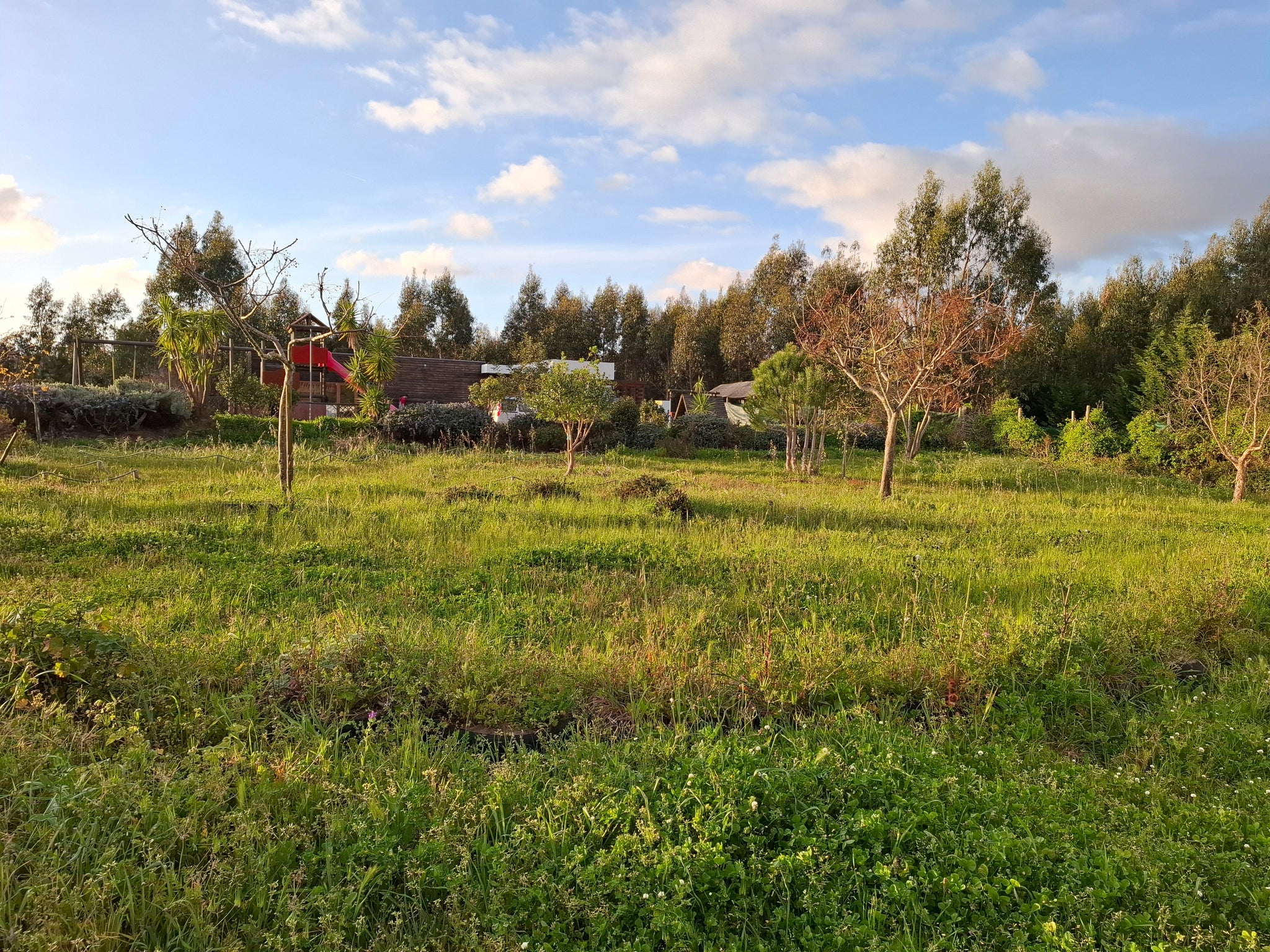 Caria stopover