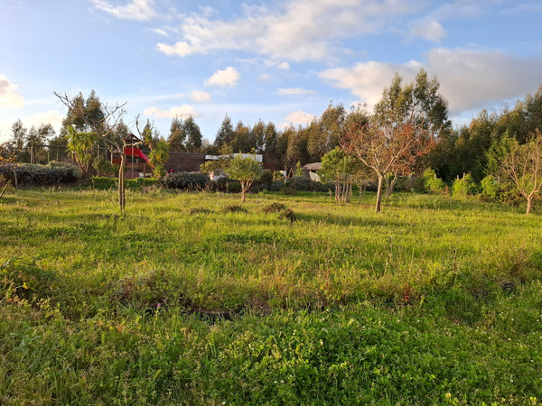 Caria stopover