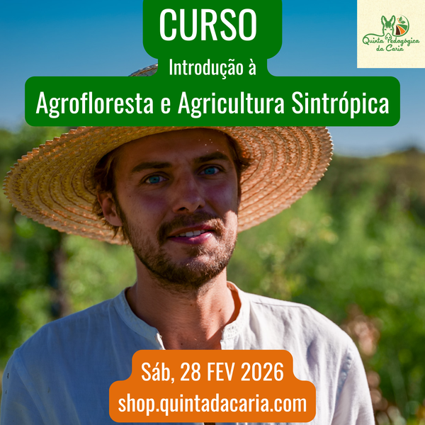 Curso de Introdução à Agrofloresta e Agricultura Sintrópica - PRÁTICO 28 Fevereiro 2026