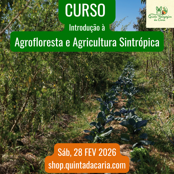 Curso de Introdução à Agrofloresta e Agricultura Sintrópica - PRÁTICO 28 Fevereiro 2026