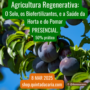 Curso de Agricultura Regenerativa: O Solo, os Biofertilizantes, e a Saúde da Horta e do Pomar - PRESENCIAL 50% prático 8 Março 2025