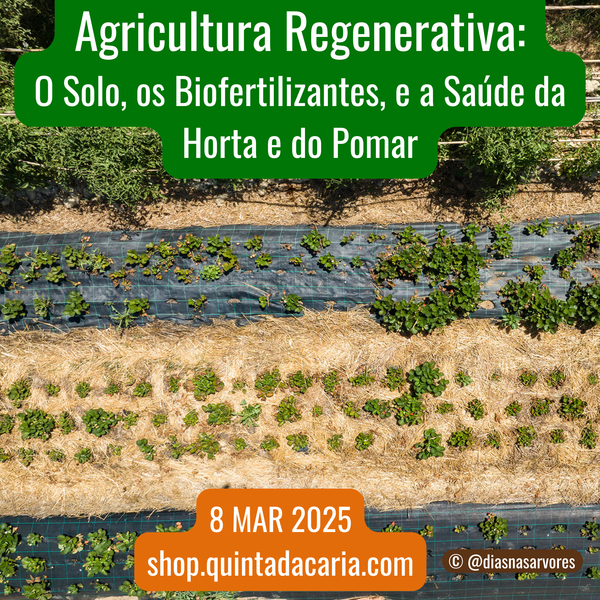 Curso de Agricultura Regenerativa: O Solo, os Biofertilizantes, e a Saúde da Horta e do Pomar - PRESENCIAL 50% prático 8 Março 2025