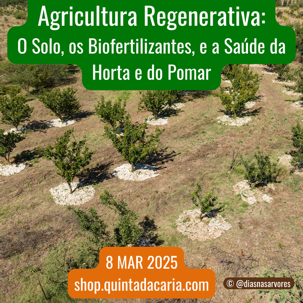 Curso de Agricultura Regenerativa: O Solo, os Biofertilizantes, e a Saúde da Horta e do Pomar - PRESENCIAL 50% prático 8 Março 2025