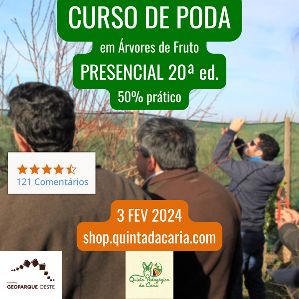 Curso de Poda em Árvores de Fruto - PRESENCIAL Básico: 50% prático 3 Fevereiro 2024