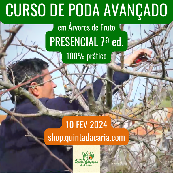 Curso de Poda em Árvores de Fruto - PRESENCIAL Avançado: 100% prático 10 Fevereiro 2024