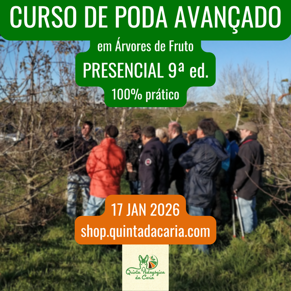Curso de Poda em Árvores de Fruto - PRESENCIAL Avançado: 100% prático 17 Janeiro 2026