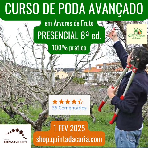 Curso de Poda em Árvores de Fruto - PRESENCIAL Avançado: 100% prático 1 Fevereiro 2025