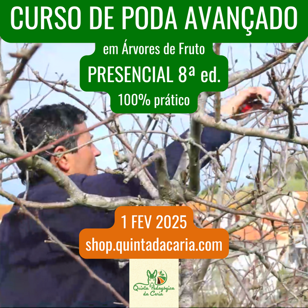 Curso de Poda em Árvores de Fruto - PRESENCIAL Avançado: 100% prático 1 Fevereiro 2025