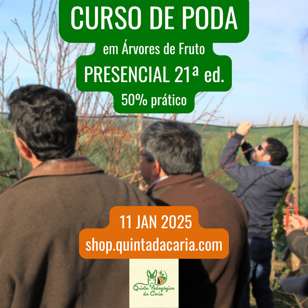 Curso de Poda em Árvores de Fruto - PRESENCIAL Básico: 50% prático 11 Janeiro 2025