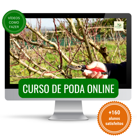 Curso de Poda em Árvores de Fruto - ONLINE