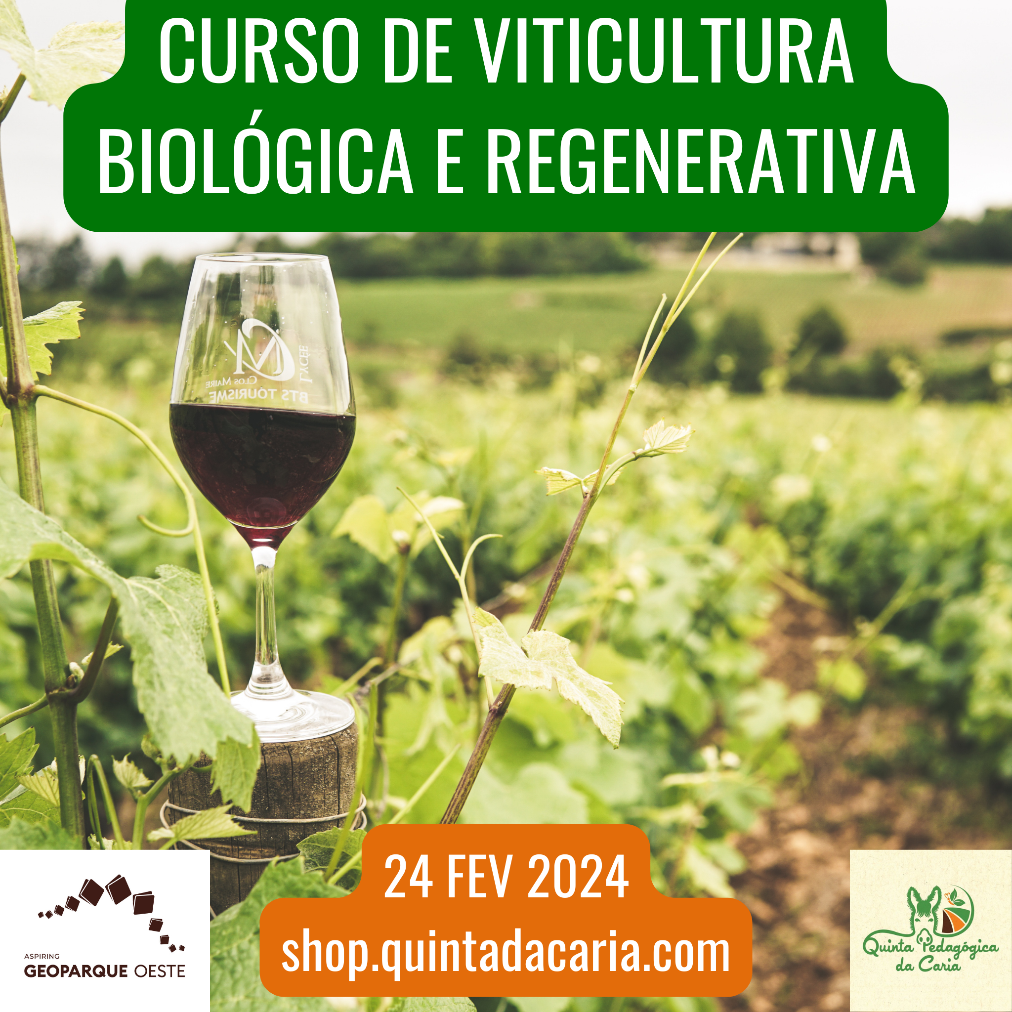 Curso de Viticultura Biológica e Regenerativa - PRESENCIAL (50% prático) 24 Fevereiro 2024