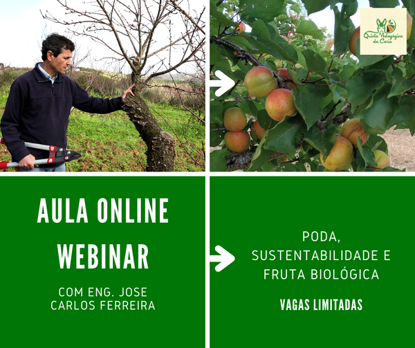 Webinar Gratuito: Poda, Sustentabilidade e Fruta Biológica