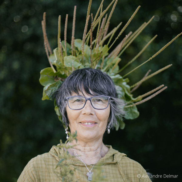 Fernanda Botelho: Plantas Medicinais e Remédios Caseiros - 24 Julho 2022