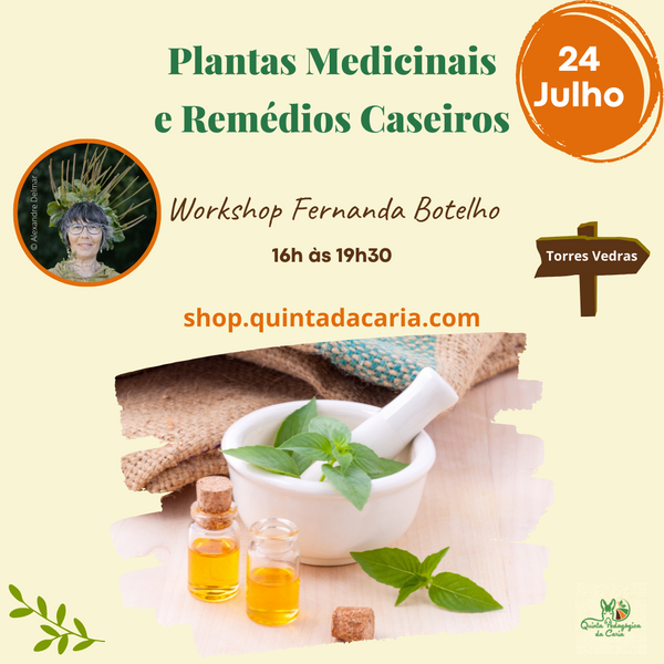 Fernanda Botelho: Plantas Medicinais e Remédios Caseiros - 24 Julho 2022