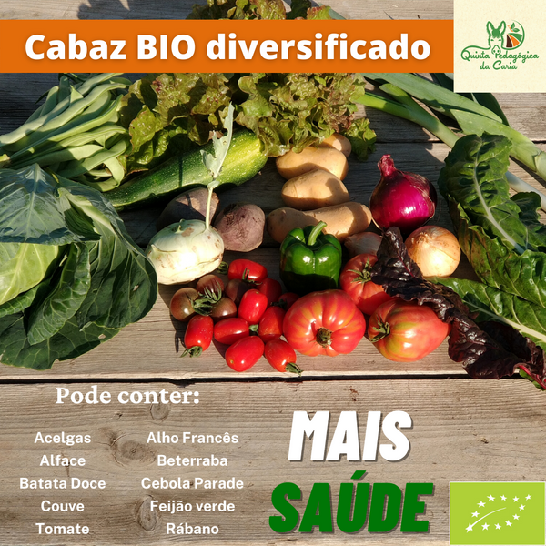 Cabaz Bio 5 kg ao domicílio (Torres Vedras - Lourinhã) - plano CSA+