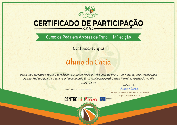 Certificado do curso II (papel)