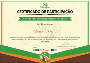 Certificado do curso II (papel)