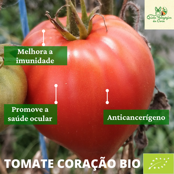 Tomate Coração de boi Biológico (500g)