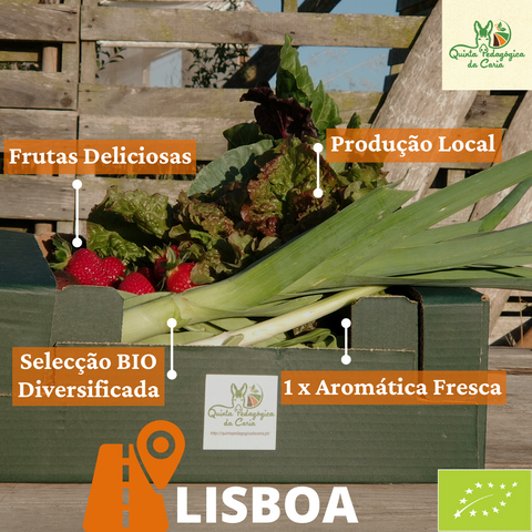 Cabaz Bio semanal 5 kg (Lisboa - Amadora) - plano CSA